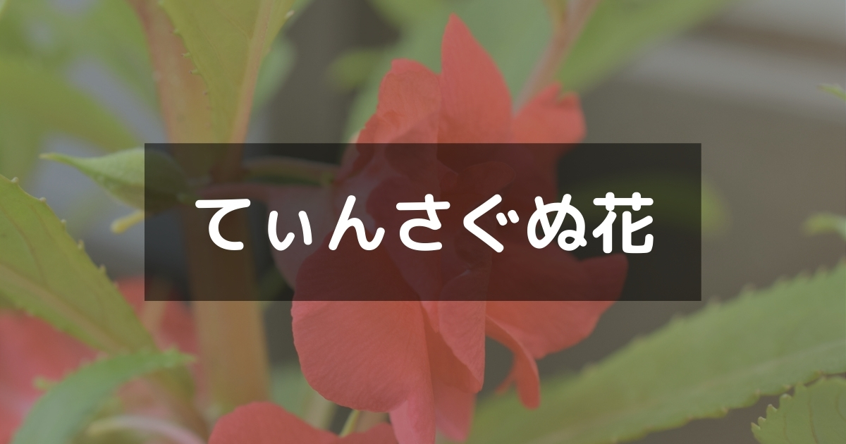 てぃんさぐぬ花 沖縄を代表する民謡 おススメ版を2曲紹介します